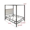 King size Black Metal Canopy Bed with Upholstered Button-Tufted Headboard